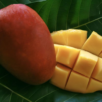 �y2026�N6�����{���珇�������E�����p�z�݂ȂƂ΂�_���̊��n�A�b�v���}���S�[1kg(2�`3��)