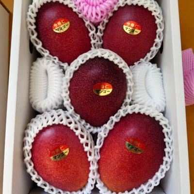 【2026年6月から順次発送・贈答用】やんばるフルーツ園のアーウィンマンゴー1.5kg(4～5玉)