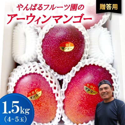 【2026年6月から順次発送・贈答用】やんばるフルーツ園のアーウィンマンゴー1.5kg(4～5玉)
