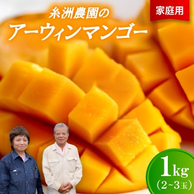 【先行受付・2026年7月から順次発送・家庭用】糸洲農園のアーウィンマンゴー1kg(2～3玉)