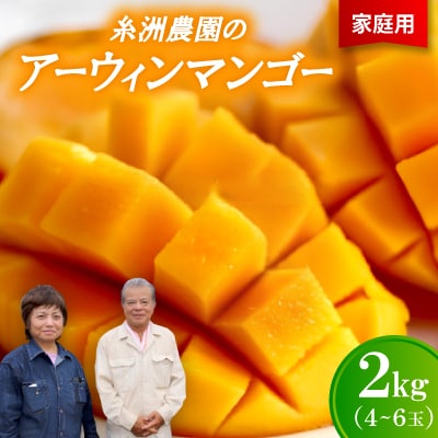 【先行受付・2026年7月から順次発送・家庭用】糸洲農園のアーウィンマンゴー2kg(4～6玉)