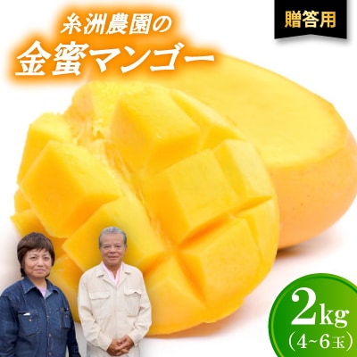 【2026年7月から順次発送・贈答用】糖度20度以上!糸洲農園の金蜜マンゴー2kg(4～6玉)