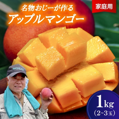 【2026年7月から順次発送・家庭用】名物おじーが作るアップルマンゴー1kg(2～3玉)