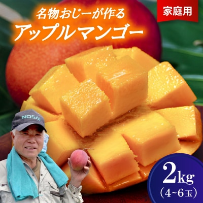 【2026年7月から順次発送・家庭用】名物おじーが作るアップルマンゴー2kg(4～6玉)