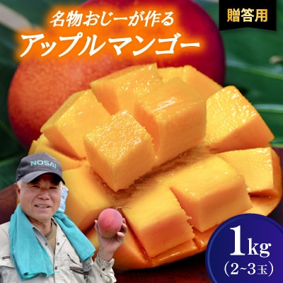 【2026年7月から順次発送・贈答用】名物おじーが作るアップルマンゴー1kg(2～3玉)