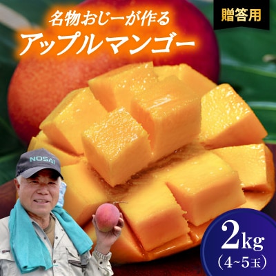 【2026年7月から順次発送・贈答用】名物おじーが作るアップルマンゴー2kg(4～5玉)