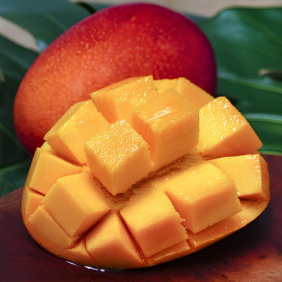 【2026年7月から順次発送・特選】名物おじーが作るアップルマンゴー1kg(2～3玉)