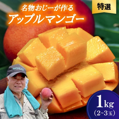 【2026年7月から順次発送・特選】名物おじーが作るアップルマンゴー1kg(2～3玉)