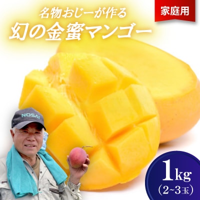 【2026年7月から順次発送・家庭用】名物おじーが作る幻の金蜜マンゴー1kg(2～3玉)
