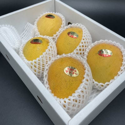 【2026年7月から順次発送・家庭用】名物おじーが作る幻の金蜜マンゴー2kg(4～6玉)