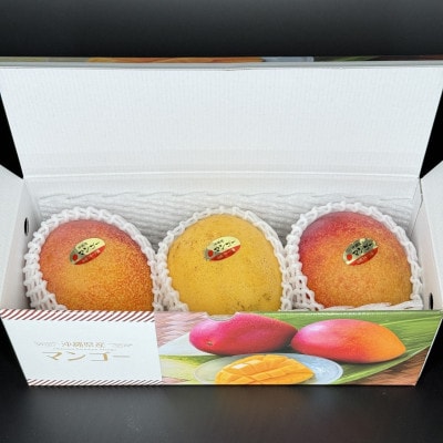 【2026年7月から順次発送・家庭用】名物おじーが作るアーウィン&金蜜のマンゴー食べ比べ1kg