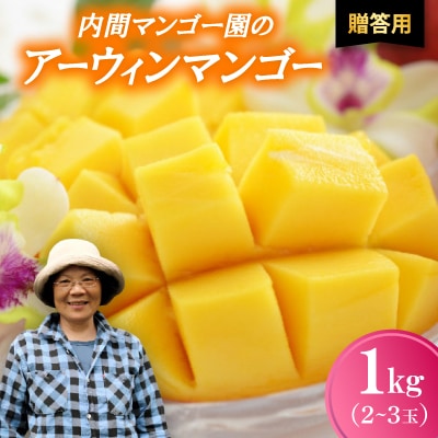 【2026年7月から順次発送・贈答用】内間マンゴー園のアーウィンマンゴー1kg(2～3玉)