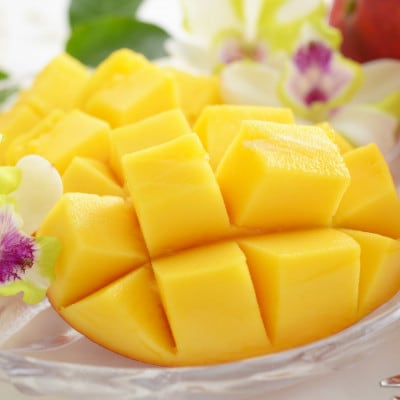 【2026年7月から順次発送・特選】内間マンゴー園のアーウィンマンゴー1kg(2～3玉)