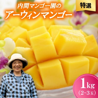 【2026年7月から順次発送・特選】内間マンゴー園のアーウィンマンゴー1kg(2～3玉)