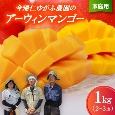 【2026年7月から順次発送・家庭用】今帰仁ゆがふ農園のアーウィンマンゴー1kg(2～3玉)