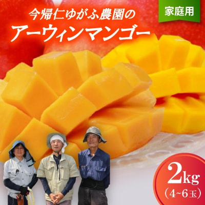 【2026年7月から順次発送・家庭用】今帰仁ゆがふ農園のアーウィンマンゴー2kg(4～6玉)