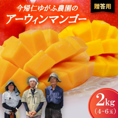 【2026年7月から順次発送・贈答用】今帰仁ゆがふ農園のアーウィンマンゴー2kg(4～6玉)