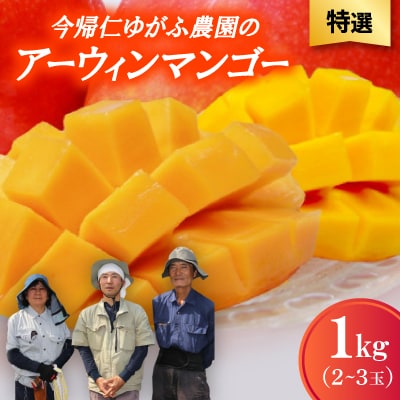 【2026年7月から順次発送・特選】今帰仁ゆがふ農園のアーウィンマンゴー1kg(2～3玉)