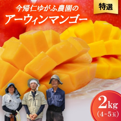 【2026年7月から順次発送・特選】今帰仁ゆがふ農園のアーウィンマンゴー2kg(4～5玉)