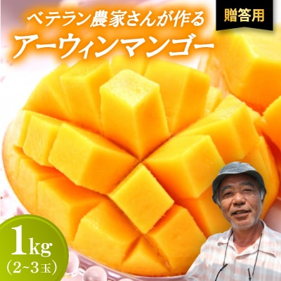 【2026年7月から順次発送・贈答用】ベテラン農家さんが作る アーウィンマンゴー1kg(2～3玉)