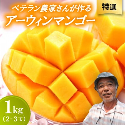 【2026年7月から順次発送・特選】ベテラン農家さんが作る アーウィンマンゴー1kg(2～3玉)