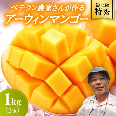 【2026年7月から順次発送・最上級特秀】名匠・比嘉峯夫さんが育てる アップルマンゴー1kg(2玉)