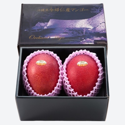 【2026年7月から順次発送・最上級特秀】名匠・比嘉峯夫さんが育てる アップルマンゴー1kg(2玉)