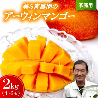 【2026年7月から順次発送・家庭用】美ら宮農園のアーウィンマンゴー2kg(4～6玉)