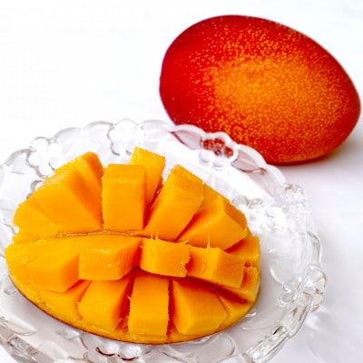 【2026年7月から順次発送・贈答用】美ら宮農園のアーウィンマンゴー2kg(4～6玉)