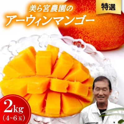 【2026年7月から順次発送・特選】美ら宮農園のアーウィンマンゴー2kg(4～6玉)
