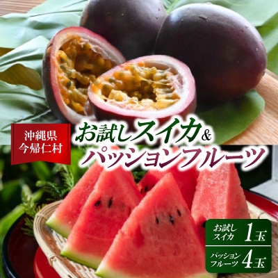 【2026年6月上旬から順次発送】今帰仁村のお試しスイカ1玉&パッションフルーツ4玉