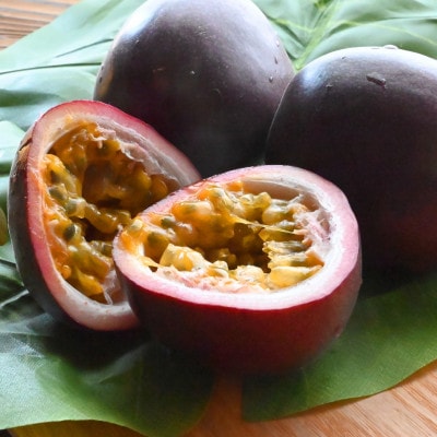 【2026年6月上旬から順次発送】今帰仁村のお試しスイカ1玉&パッションフルーツ4玉