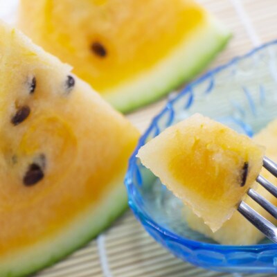 【2026年1月下旬から順次発送】今帰仁村産 黄色の冬スイカ1玉(3.0kg～4.0kg)