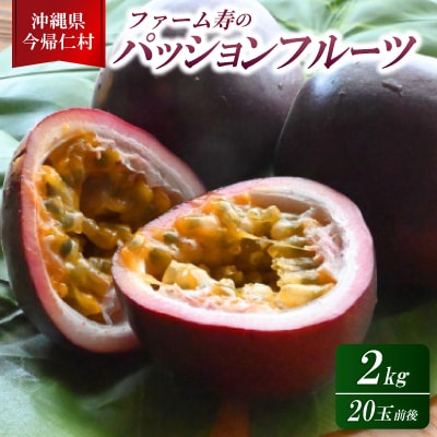 【2026年6月上旬から順次発送】初夏に味わう ファーム寿のパッションフルーツ2kg(20玉前後)