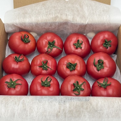 【2027年2月中旬から順次発送】甘みが凝縮したフルーツトマト1.2kg(10玉～15玉)