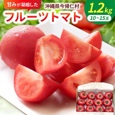 【2027年2月中旬から順次発送】甘みが凝縮したフルーツトマト1.2kg(10玉～15玉)