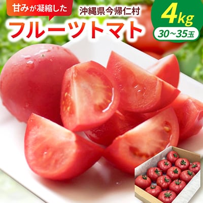 【2027年2月中旬から順次発送】甘みが凝縮したフルーツトマト4.0kg(30玉～35玉)