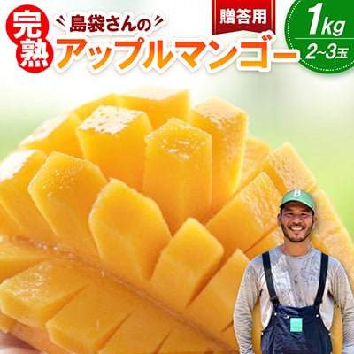【2026年7月上旬から順次発送・贈答用】島袋さんの完熟アップルマンゴー 1kg(2～3玉)