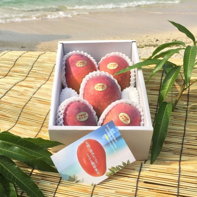 【2026年7月上旬から順次発送・贈答用】島袋さんの完熟アップルマンゴー 1kg(2～3玉)