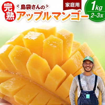 【2026年7月上旬から順次発送・家庭用】島袋さんの完熟アップルマンゴー 1kg(2～3玉)