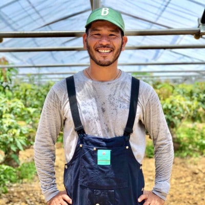 【2026年7月上旬から順次発送・家庭用】島袋さんの完熟アップルマンゴー 1kg(2～3玉)