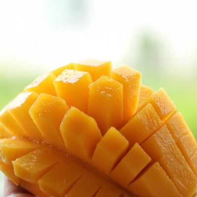 【2026年7月上旬から順次発送・家庭用】島袋さんの完熟アップルマンゴー 2kg(4～6玉)