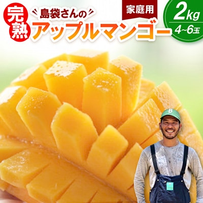【2026年7月上旬から順次発送・家庭用】島袋さんの完熟アップルマンゴー 2kg(4～6玉)
