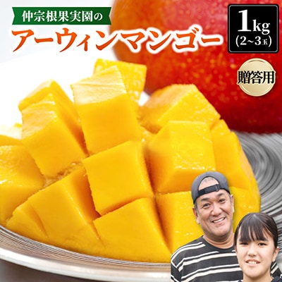 【2026年7月から順次発送・贈答用】仲宗根果実園のアーウィンマンゴー1kg(2～3玉)