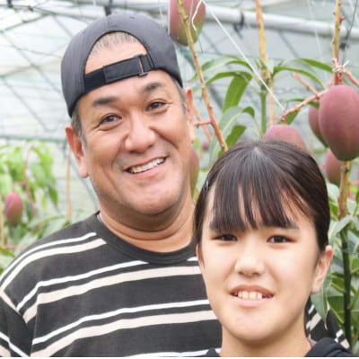 【2026年7月から順次発送・贈答用】仲宗根果実園のアーウィンマンゴー1kg(2～3玉)