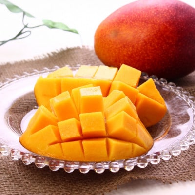 【2026年7月から順次発送・贈答用】富平農園のアーウィンマンゴー1kg(2～3玉)