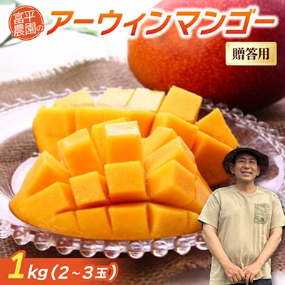 【2026年7月から順次発送・贈答用】富平農園のアーウィンマンゴー1kg(2～3玉)