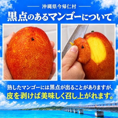【2027年7月上旬から順次発送・贈答用】富平農園のアーウィンマンゴー1kg(2～3玉)