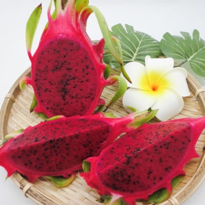 【2026年7月下旬から順次発送】富平農園のドラゴンフルーツ2kg(4～6玉)