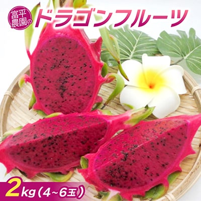 【2026年7月下旬から順次発送】富平農園のドラゴンフルーツ2kg(4～6玉)